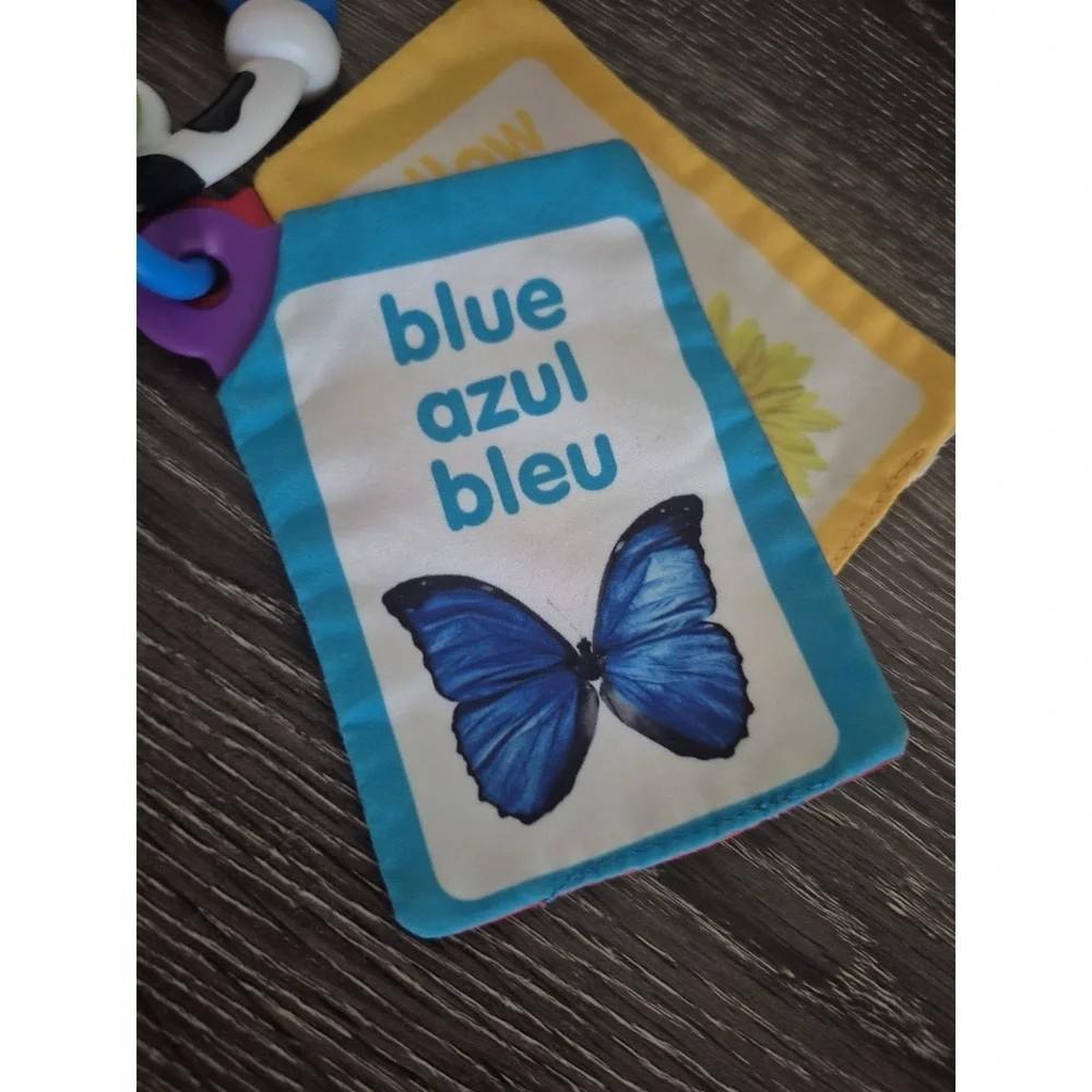 BABY EINSTEIN Take Along Discovery Cards Clip-on 10 Images Crinkle Teether Toy.